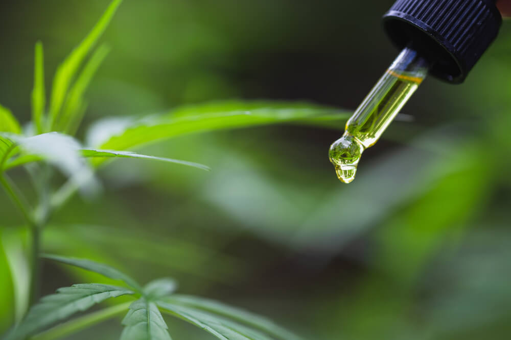 CBD Oil vs Hemp Oil - What’s the Difference?